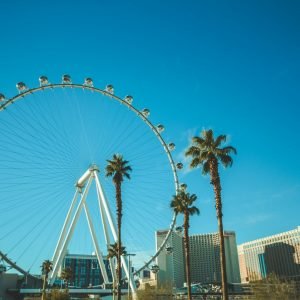 tim-trad-qTjiooe8shk-unsplash
